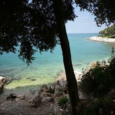 Guesthouse Galeb Vrsar Buitenkant foto