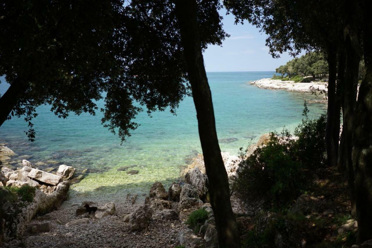 Guesthouse Galeb Vrsar Buitenkant foto